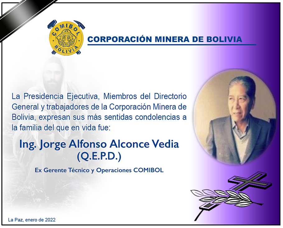 Ing. Jorge Alconce Vedia