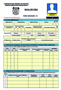 CURRICULUM VITAE COMIBOL